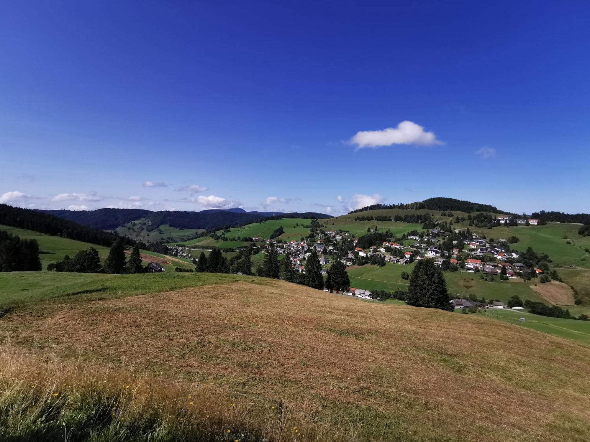 Fewo 12 - Residenz Schauinsland, E-Ladestation, Todtnauberg, Feldberg Apartamento Exterior foto